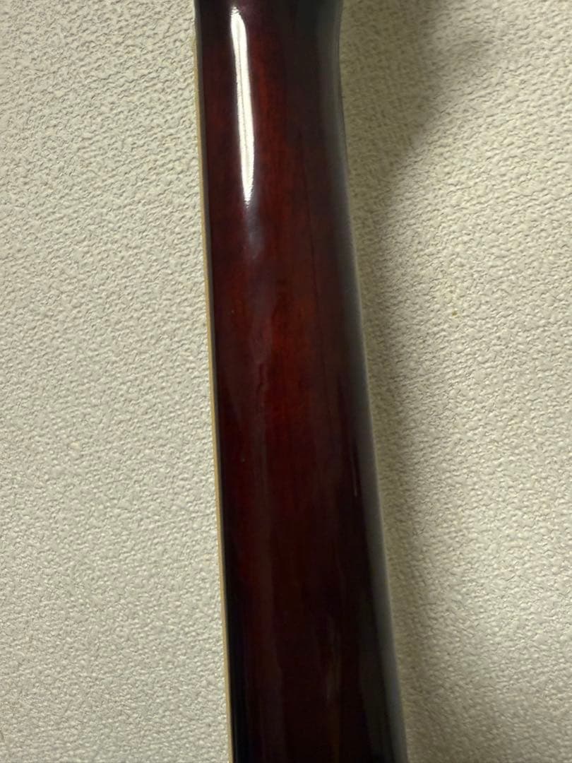 Epiphone Riviera p93 WR ギターケース付