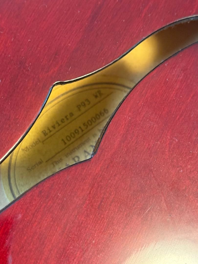 Epiphone Riviera p93 WR ギターケース付