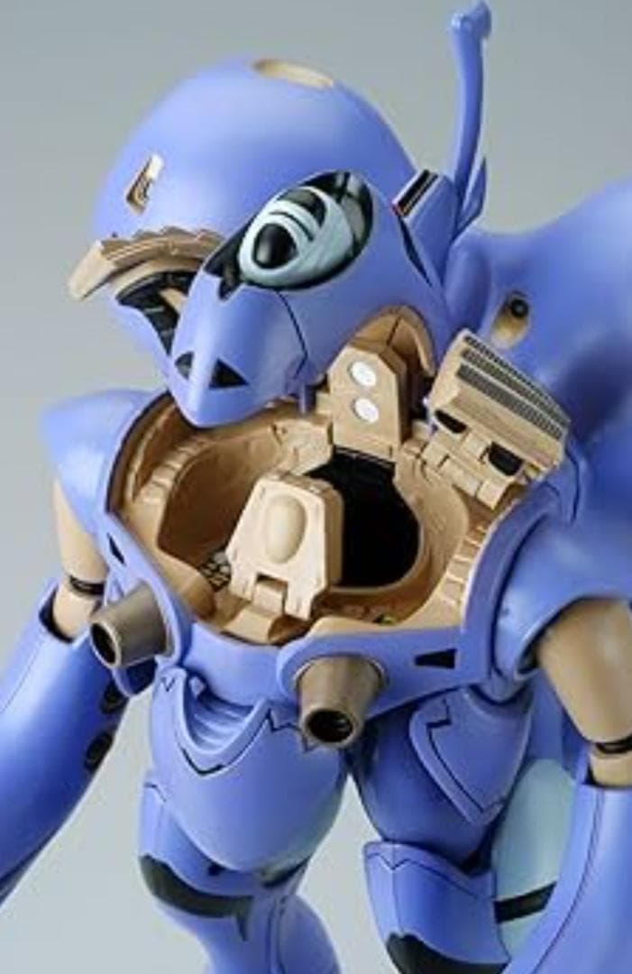 クリアランスセール QUEADLUUN-RAU MAXIMILIAN J