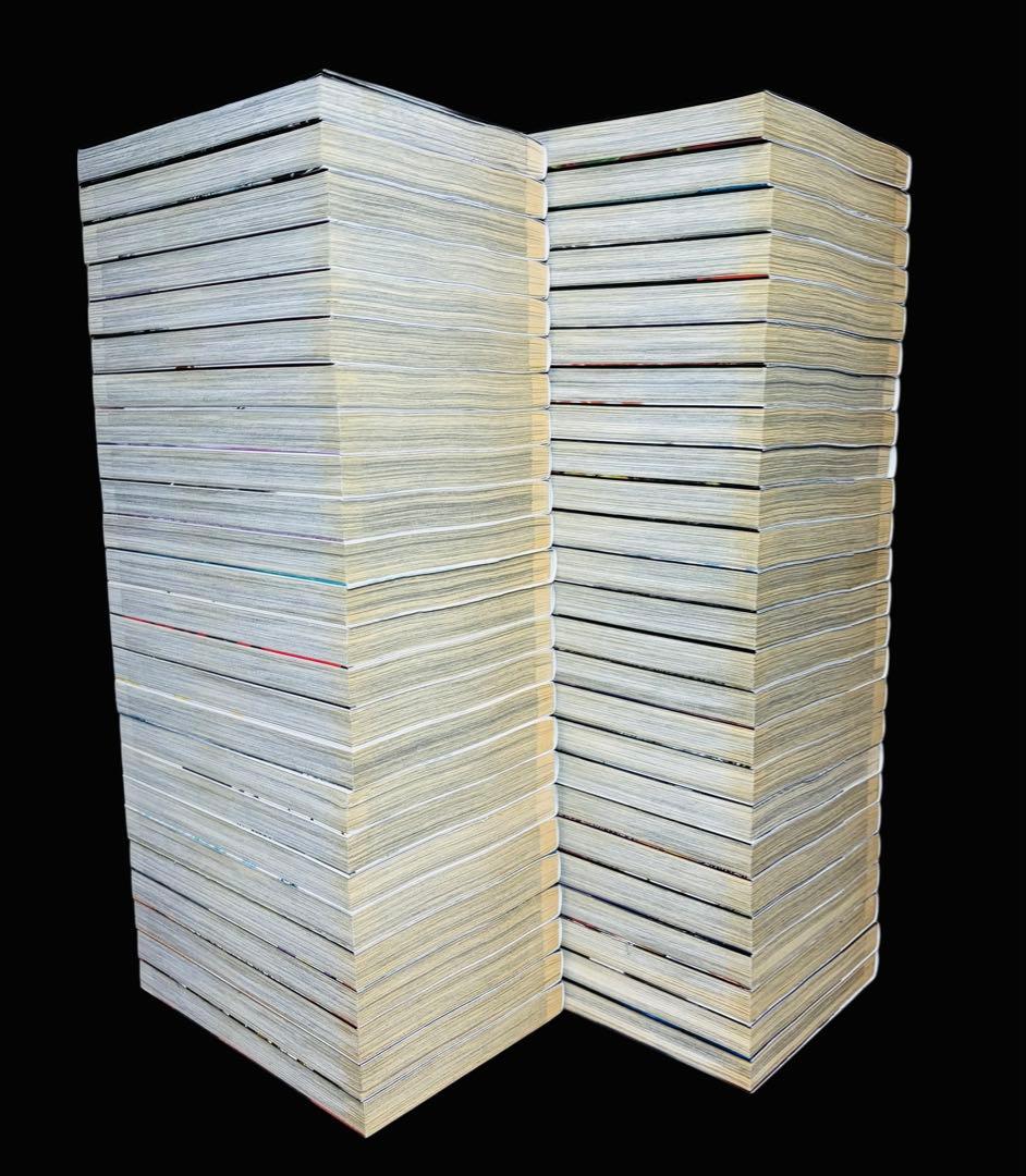 【全巻セット】嘘喰い 全49巻(完)+嘘喰いと賭郎立会人/迫稔雄