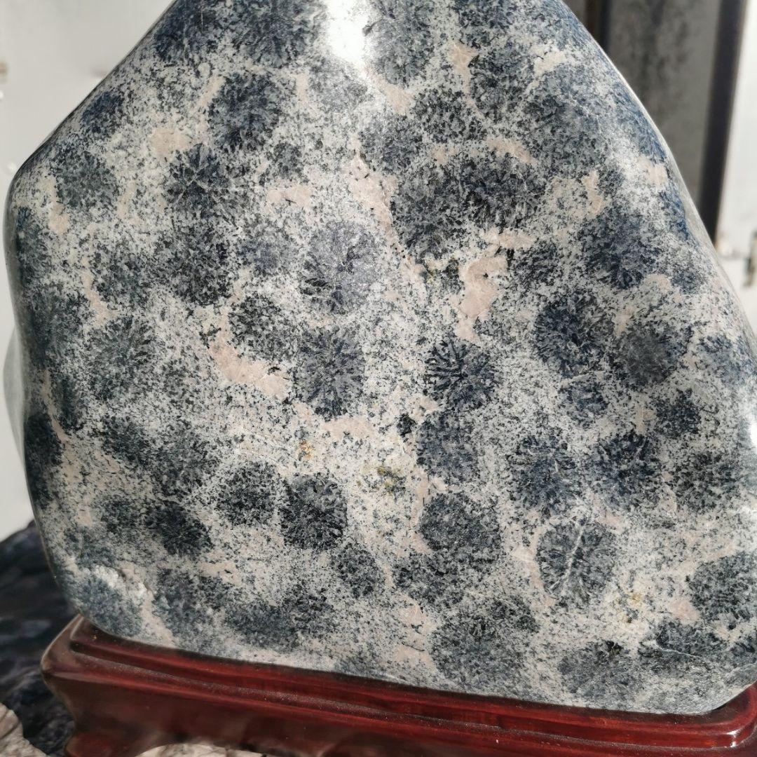 ナポレオン石 11.3キロ 球状閃緑岩 鑑賞石 石 置物 オブジェ