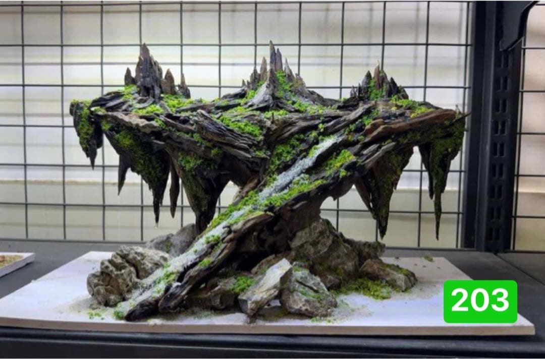 TTD 24160 【⭐︎ きょ様⭐︎】【美品・数量限定】