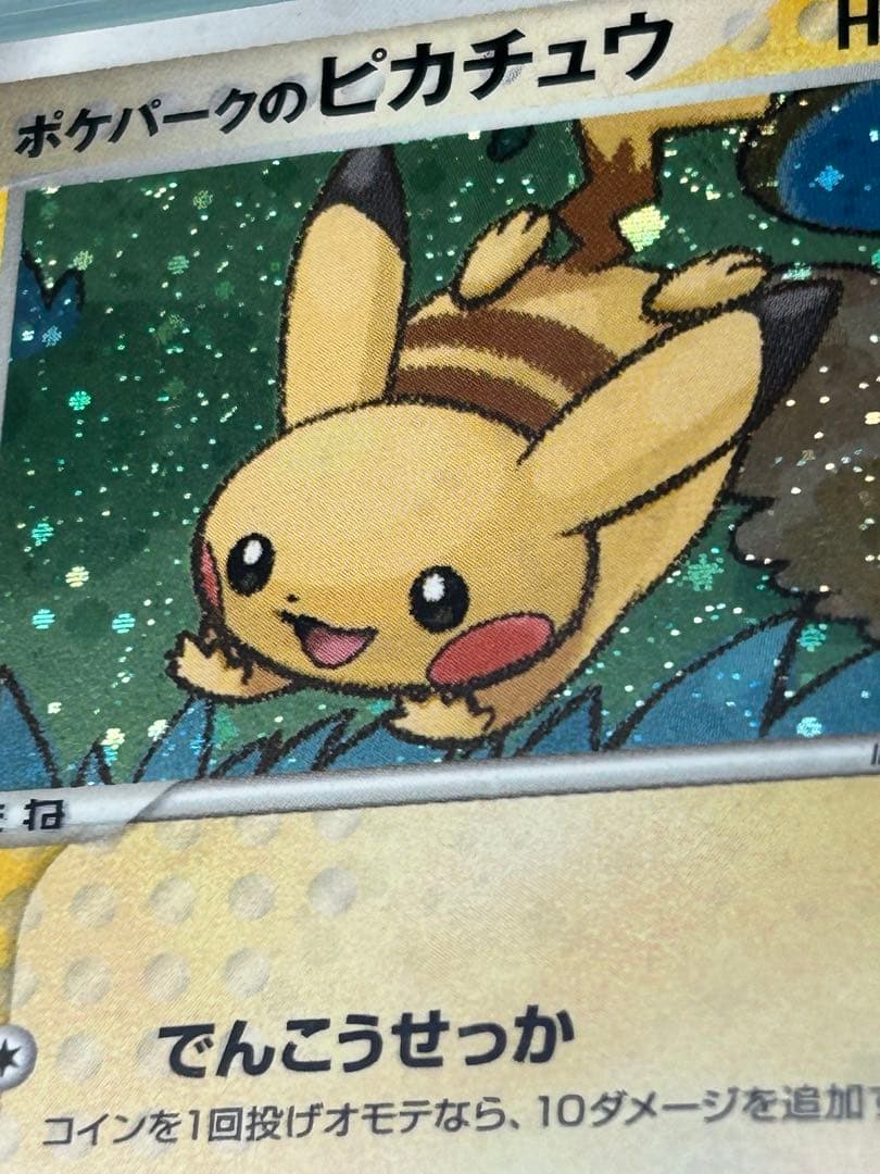 ポケパーク　フォレストシート