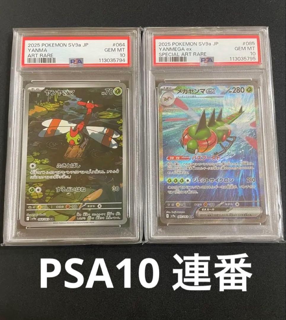 ヤンヤンマAR メガヤンマex SAR PSA10 連番