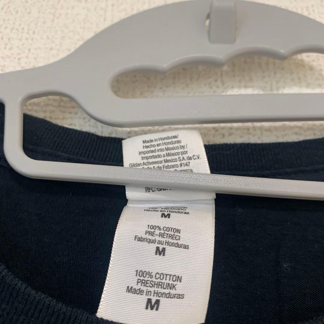 【激レア】Taylor Swift ヴィンテージTシャツ Fearless期