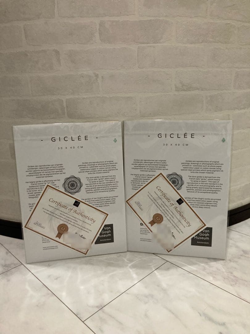 Van Gosh Pikachu Eevee ゴッホ ピカチュウ イーブイ