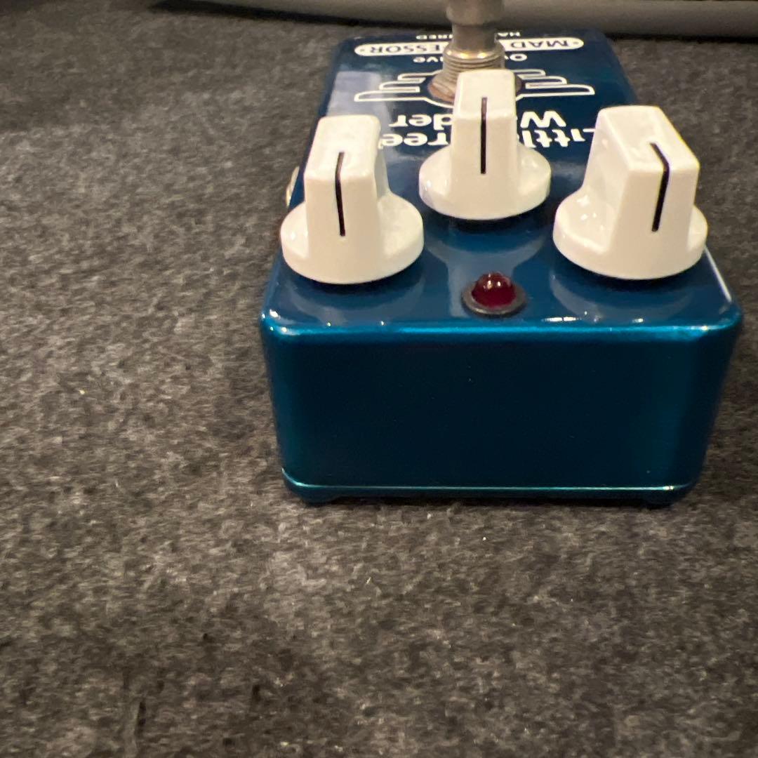 RITAO CHAN様 LITTLE GREEN WONDER