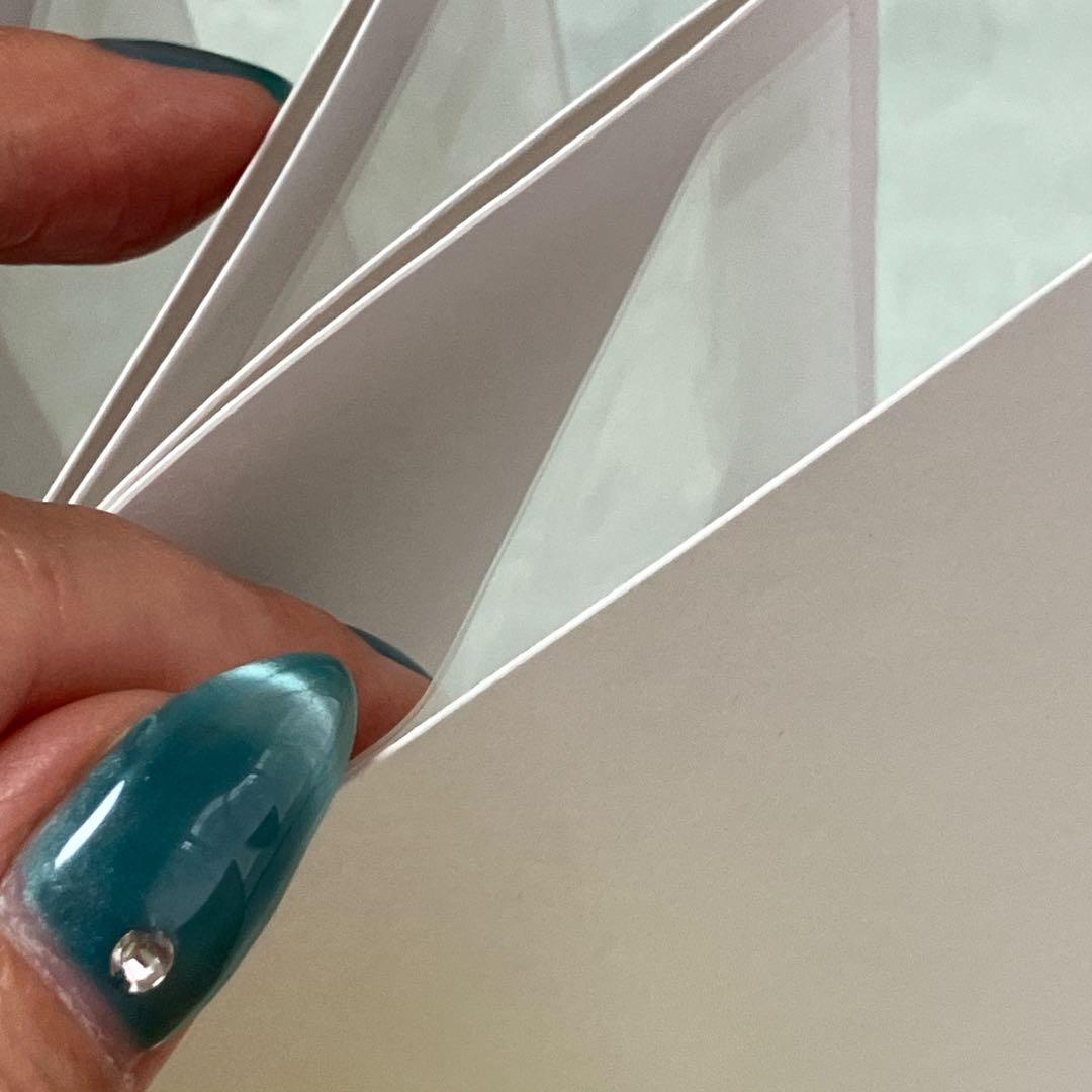 ♡みなみさま専用♡ポケット付き御城印帳　ブラック×ゴールド メタリックシルバー