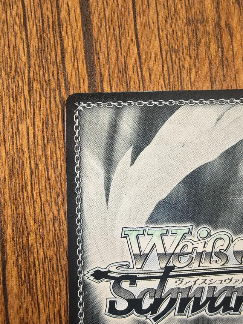 W96-T03SSP プールサイドの誘惑 トール サイン入り