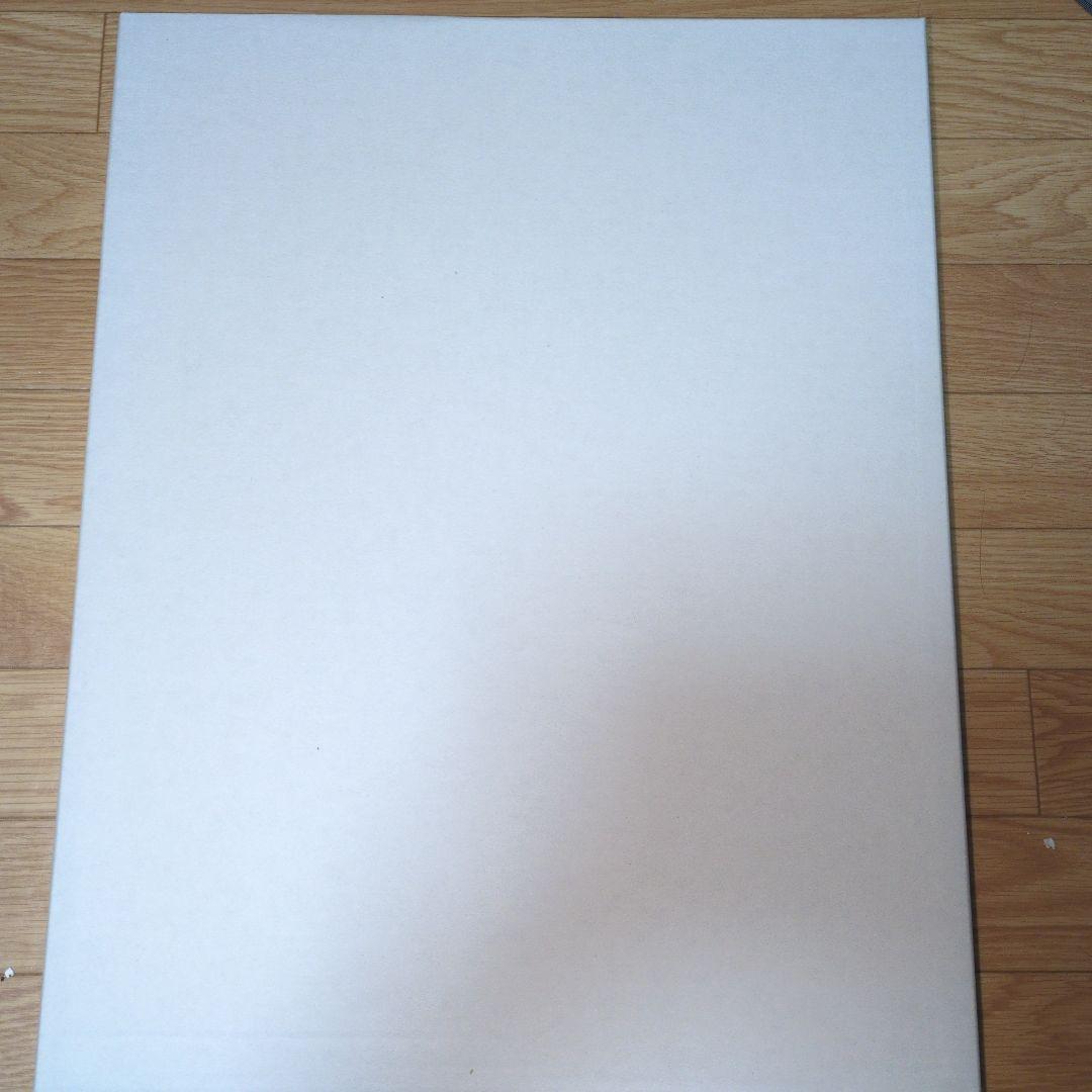 ドロヘドロ 直筆サイン入り 複製原画 心 能井