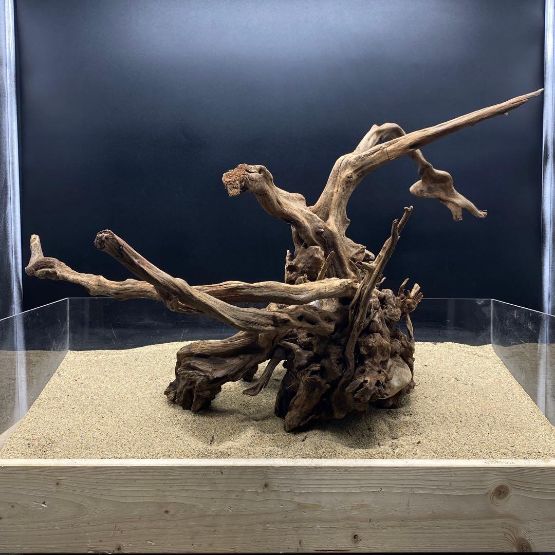 MSRW-6625 特大天然流木1点物 スリムウッド アクアリウム