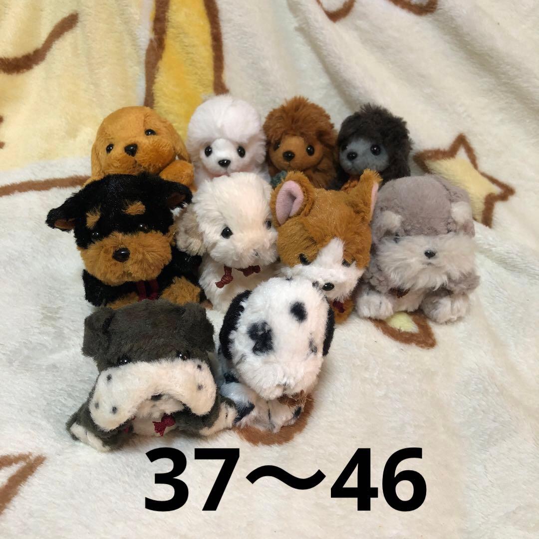 TAKENOKO ぬいぐるみ＆マスコット＆キーホルダー　51コセット　中古　③