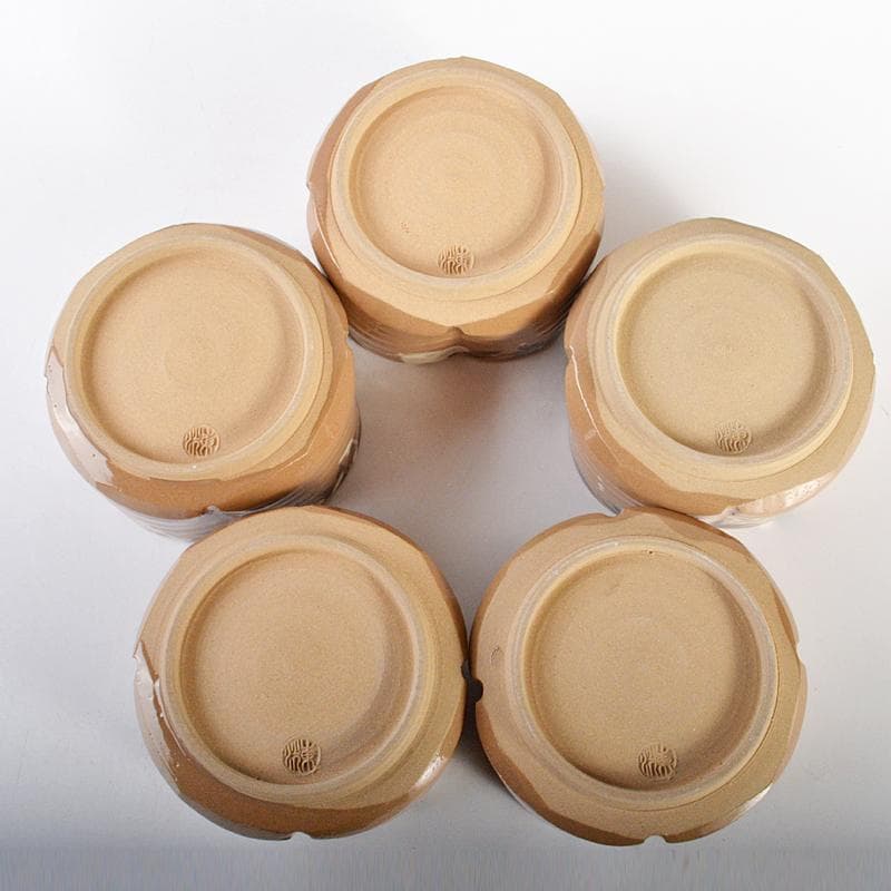 京焼 加陽庵 中村東洸作 乾山意雪笹 小鉢 五客