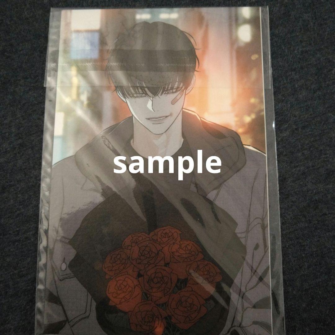 枯れた花に涙を 韓国初回限定特典 イラストカード 全3種セット