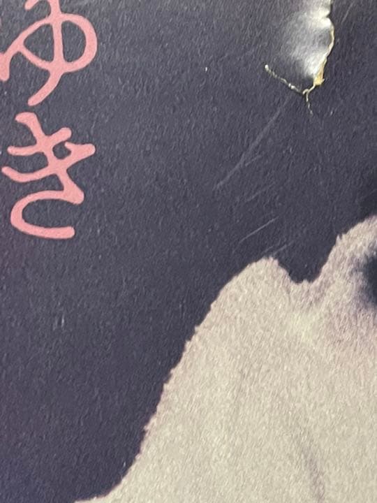 中島みゆき 「臨月」 パネル