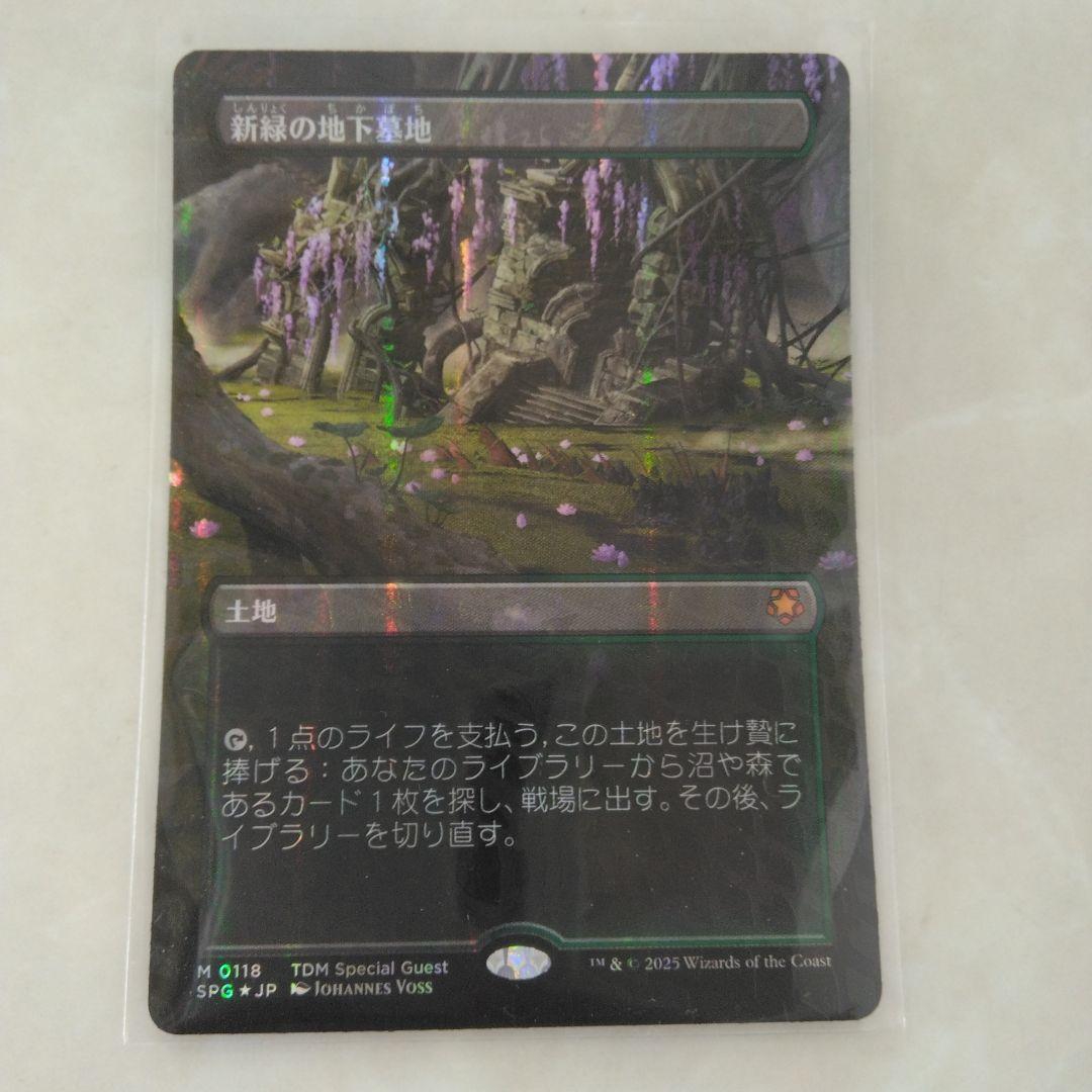 未使用 ドラゴンスケイル foil 新緑の地下墓地 日本語 MTG