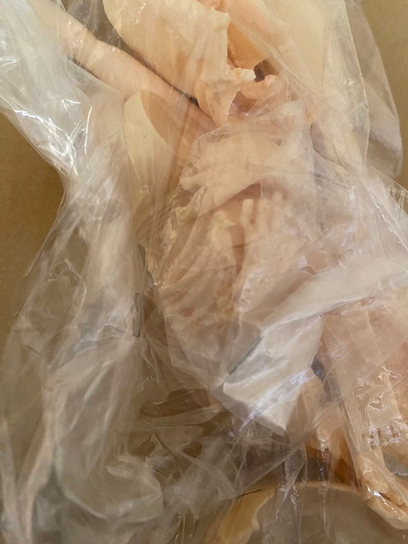 紡路本舗 綾波レイ ストリート・ダンスver. ガレージキット エヴァンゲリオン