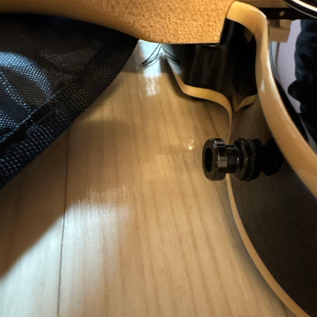 「25th ピック2枚セット」バッカス　バンビーナキャスター風　テレキャスター