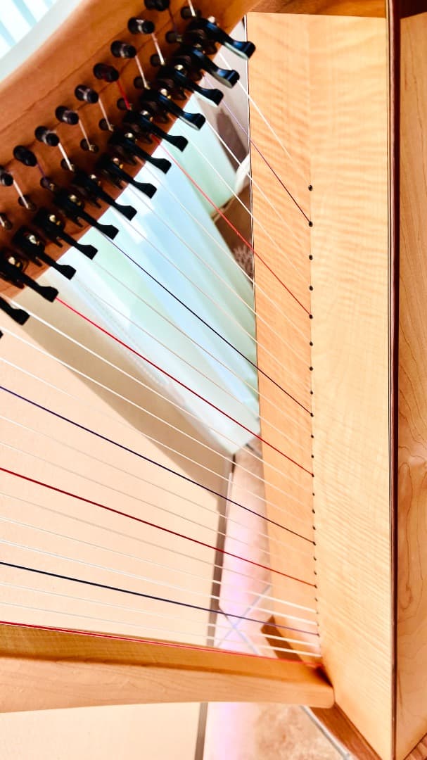 Dusty Strings FH26 アイリッシュハープ 状態良好 送料込！