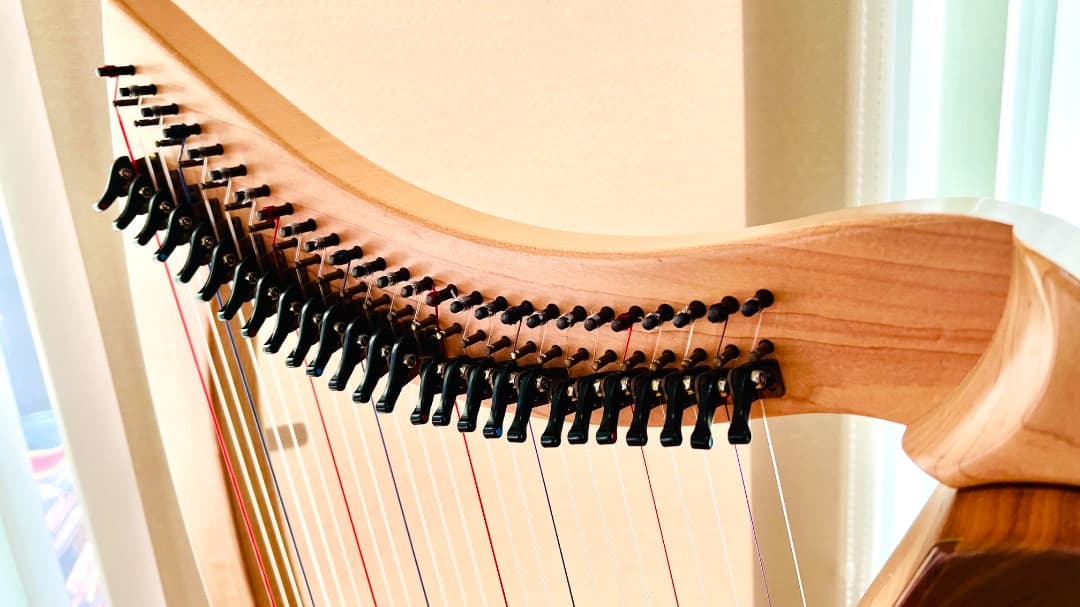 Dusty Strings FH26 アイリッシュハープ 状態良好 送料込！