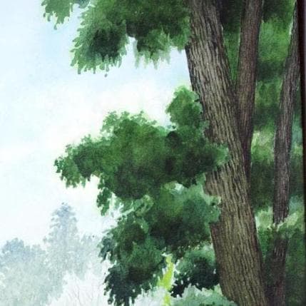 絵画「杉木立を抜けて日差しの中へ」　水彩画