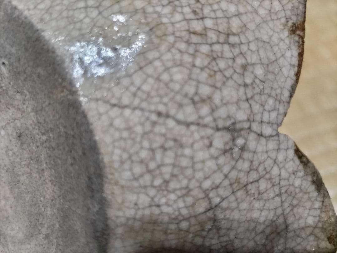 志野釉 御深井焼 向付 本金直し - WWW.BACKCOUNTRYCLUBS.COM