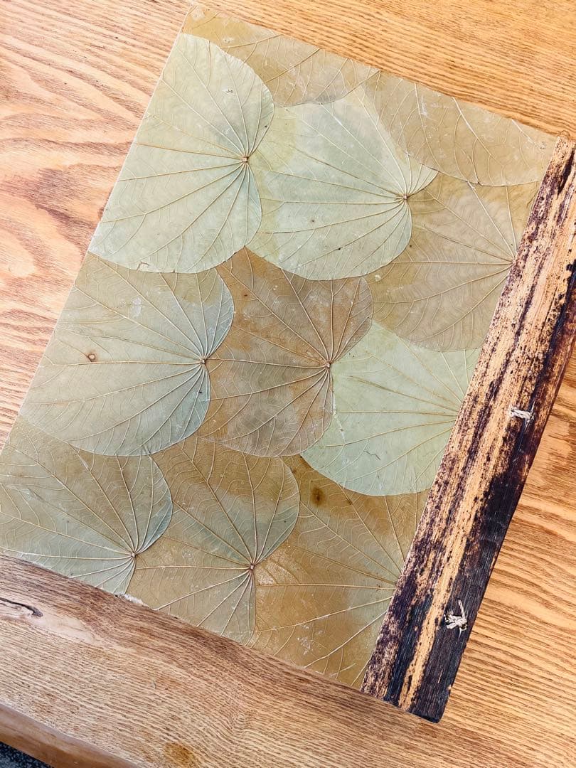 ☆Hawaiian自然素材のアルバム☆