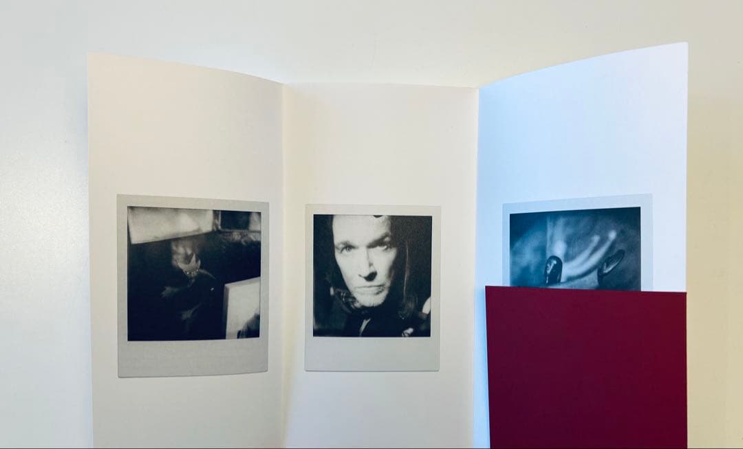 デヴィッド・シルヴィアン ポラロイド写真集