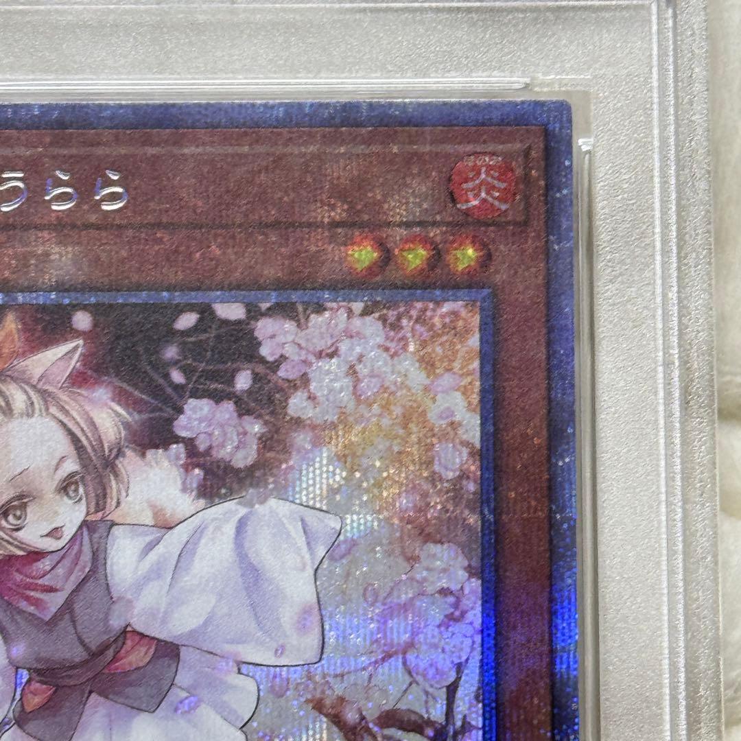 灰流うらら　プリシク　PSA10