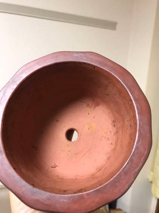 盆栽鉢 時代中国朱泥花型梅花図ミニ盆栽鉢13.5x7.3cm