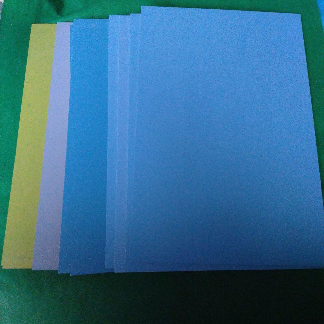 シンガポール ラッフルズホテル購入作品 【ピーコックフラワー】 額装