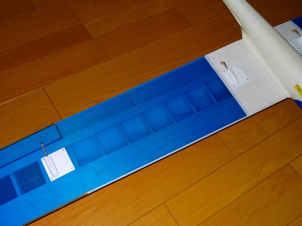 Le Petit Prince　BUSSARD 電動ラジコングライダー