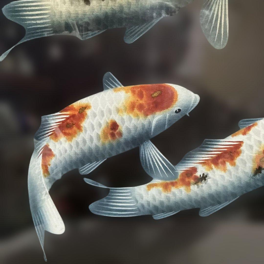 作者　海野春峰（うんのしゅんぽう）　「錦鯉」　美術名鑑評価　（最高傑作十号）