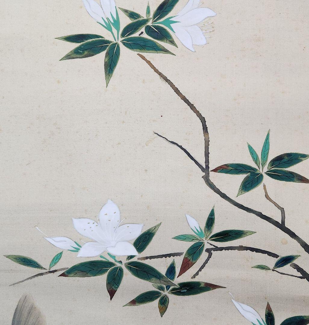 遊鯉図】佐野光穂 2639 コイ 掛け軸 肉筆