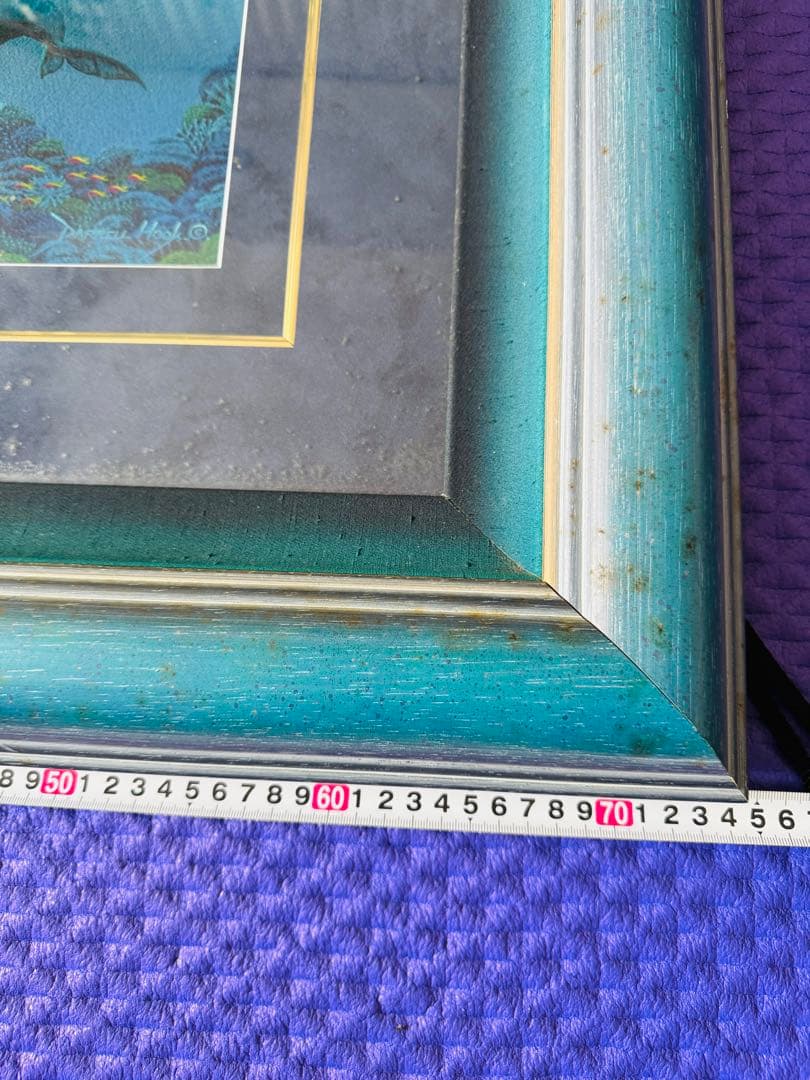 ダレル・フック　原画　オーストラリア　グレートバリアリーフ