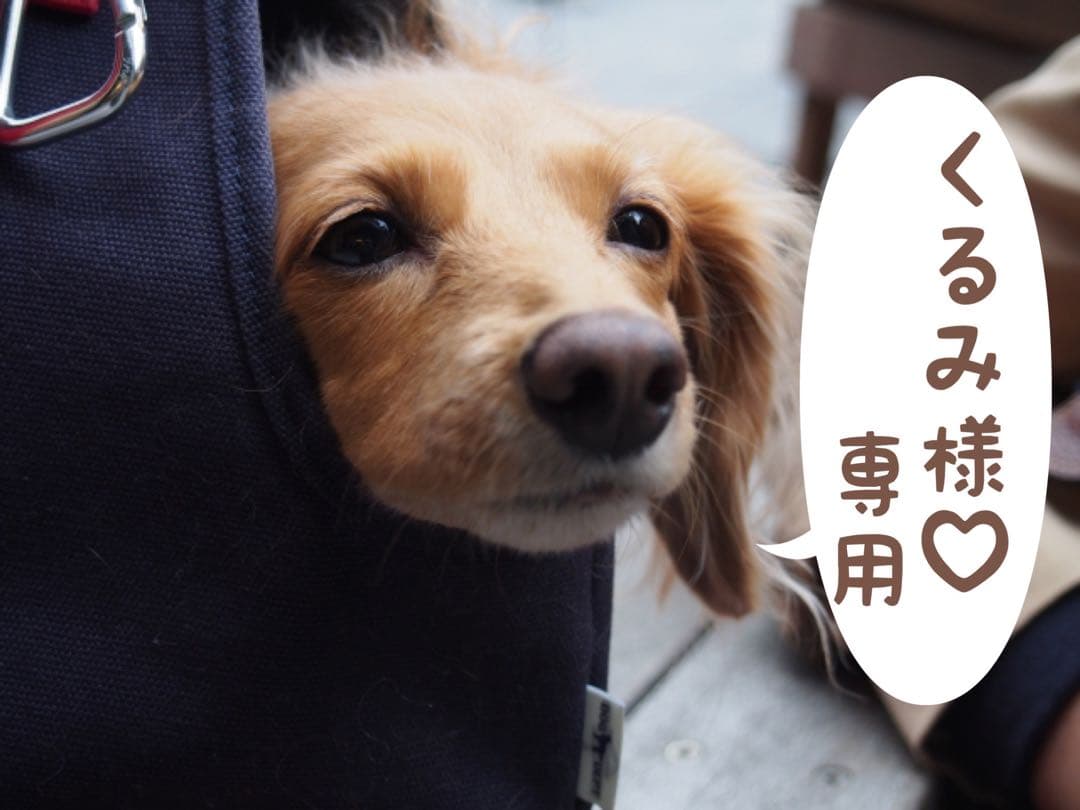 犬服 たかうさぎ様専用ページ