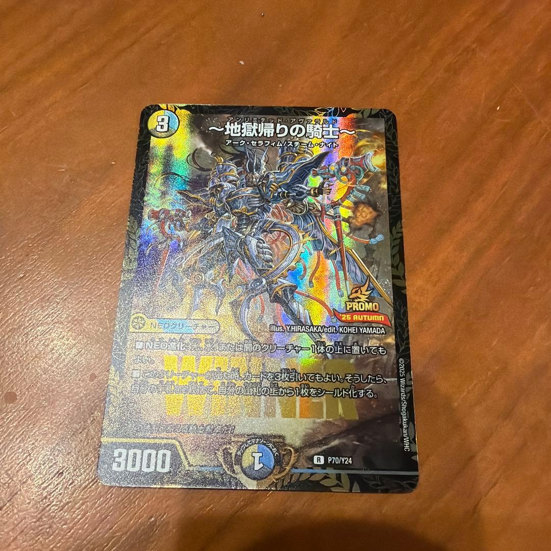 地獄帰りの騎士 アンリミテッドアヴァラルド プロモ - メルカリ