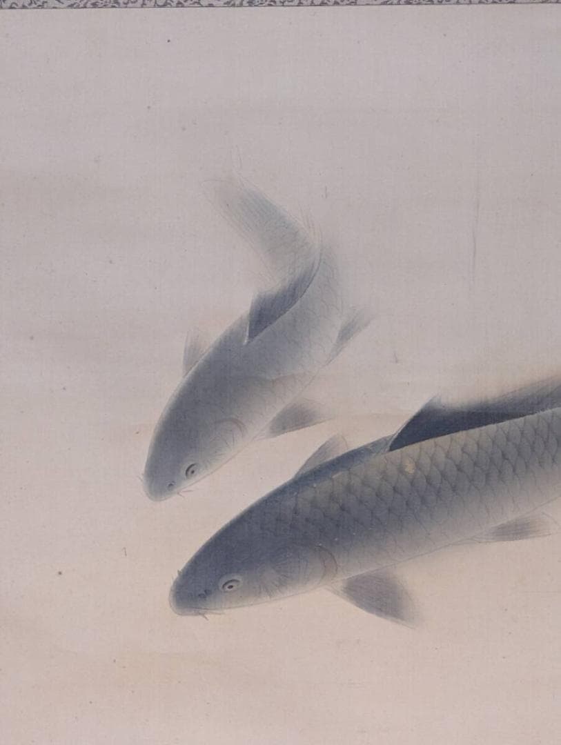 【真作】掛軸　鯉図　優雅に泳ぐ双鯉　静謐な水中表現　滑らかな筆致　S149