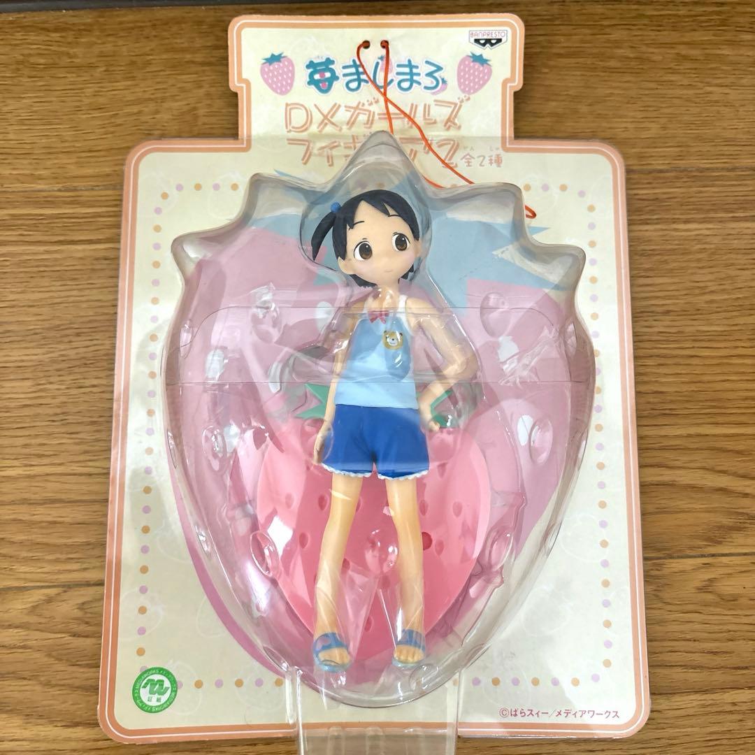 OZWRT「The CaudexMan Pachypodiuman グラ丸」 フィギュア