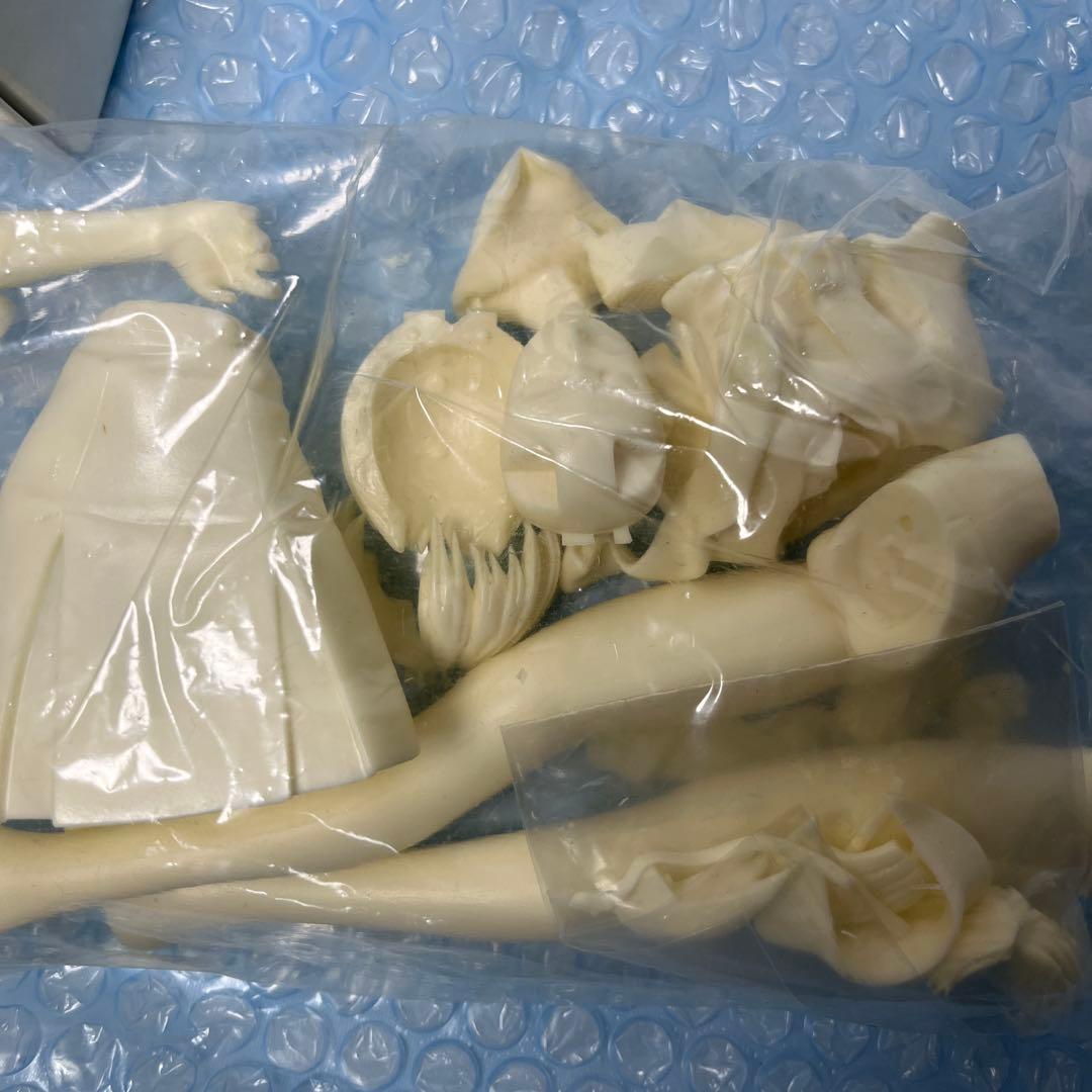 未使用　アミエ・グラン 綾波レイ Sein(ザイン) 1/6 ガレージキット