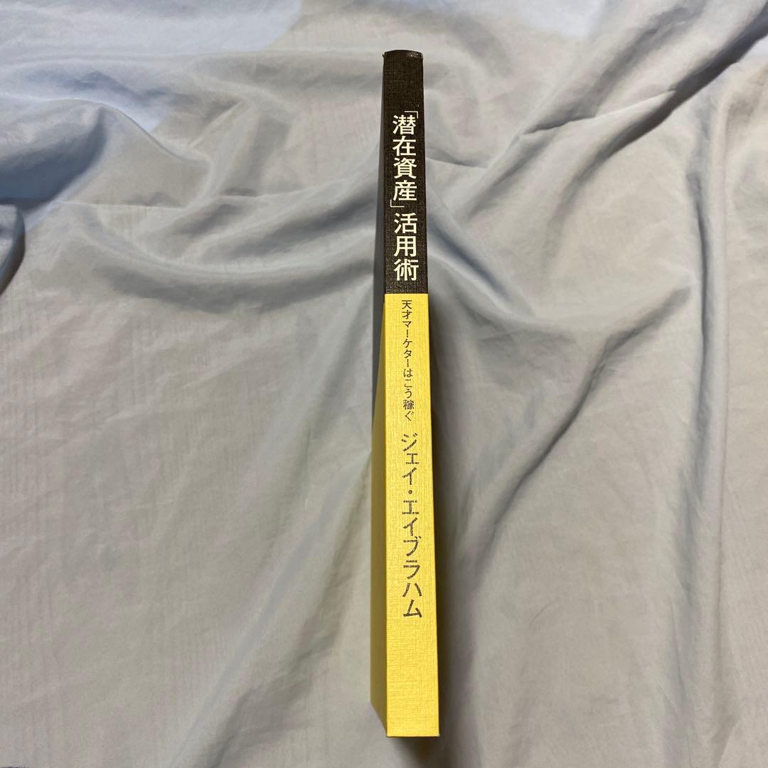 潜在資産」活用術 天才マーケターはこう稼ぐジェイエイブラハム