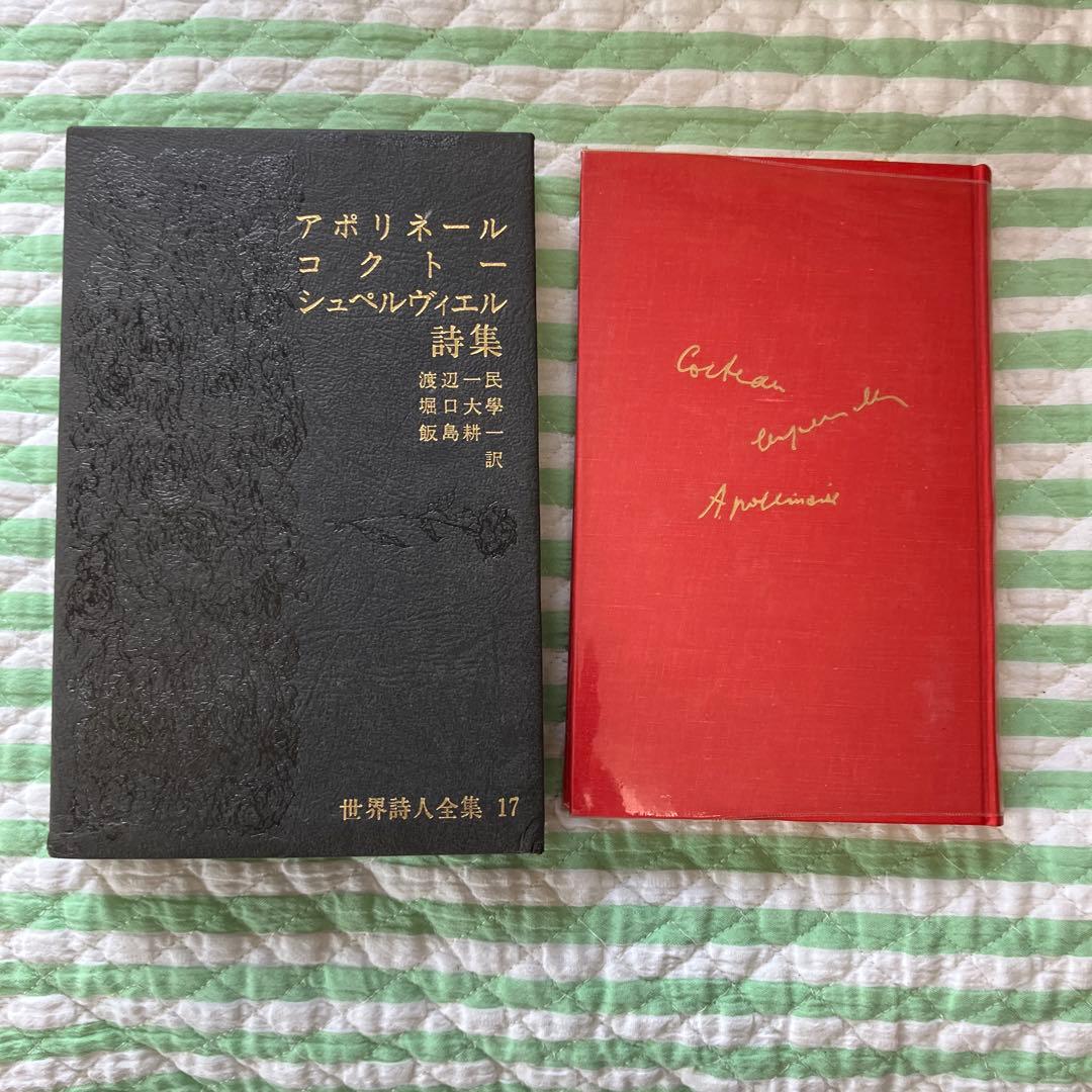 最終値下げ　世界詩人全集 全18巻セット
