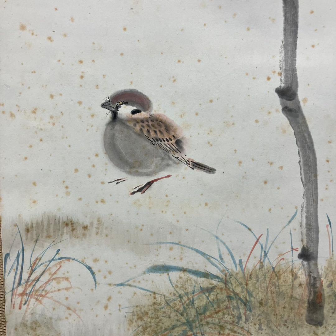 4176 山口華楊 「南天とすずめ」 共箱 肉筆 紙本 日本画 掛軸 西村五雲