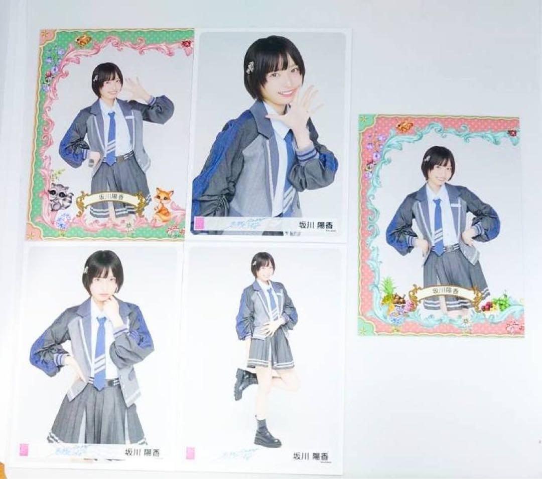 【Y】 AKB48 名残り桜 握手会限定 ランダム生写真セット