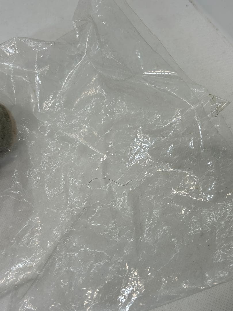 超希少　未開封　ポケモン オタチ ぬいぐるみ 初期 初代 TOMY