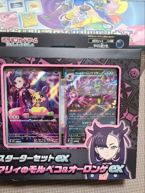 【シュリンク付き】ポケモンセンターヒロシマ　スペシャルBOX　含む合計3点