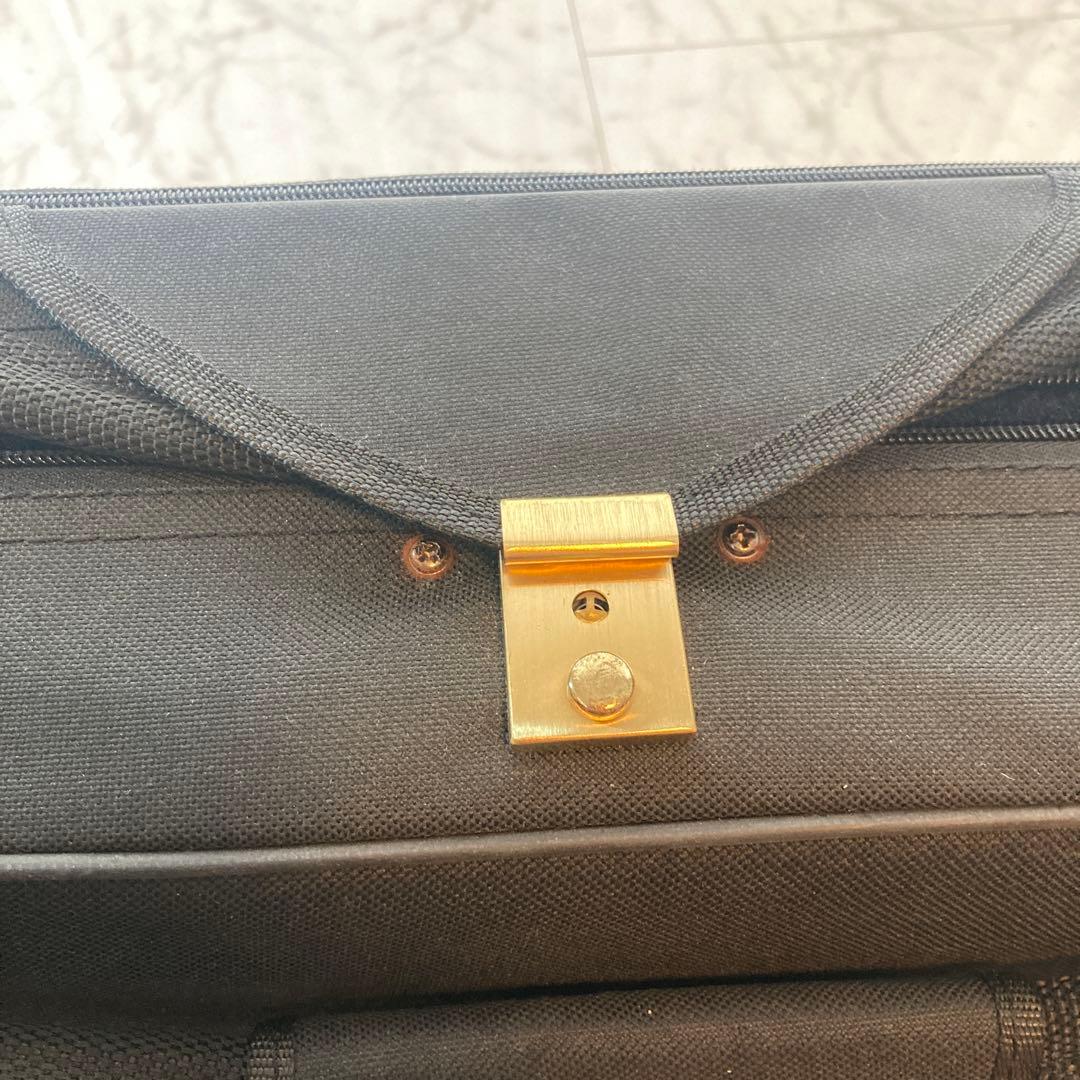 Valente EVN-27 エレキバイオリン