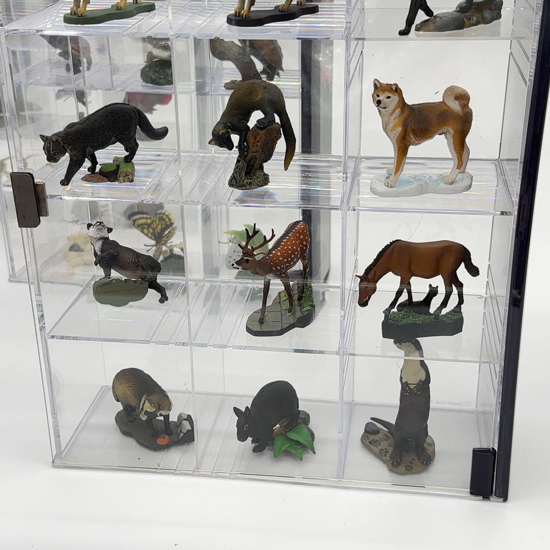 希少品 小学館 週刊 日本の天然記念物 52体セット まとめ売り