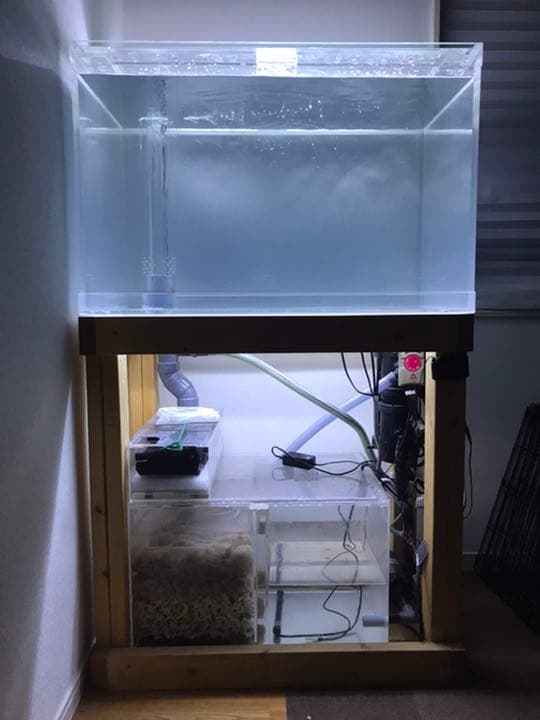 引取限定 900×600×550 人気 特注アクリルオーバーフロー水槽セット
