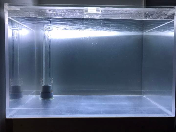 引取限定 900×600×550 人気 特注アクリルオーバーフロー水槽セット